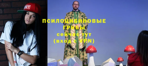 бошки Верея