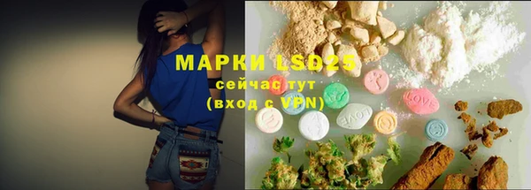 ГАЛЛЮЦИНОГЕННЫЕ ГРИБЫ Верхний Тагил