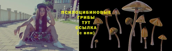 ГАЛЛЮЦИНОГЕННЫЕ ГРИБЫ Верхний Тагил