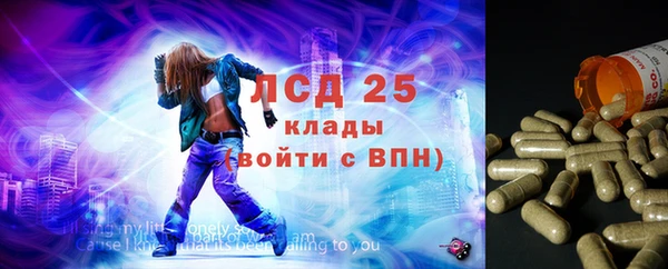бошки Верея