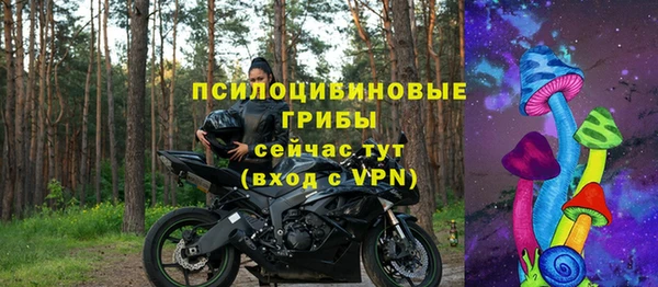 ГАЛЛЮЦИНОГЕННЫЕ ГРИБЫ Верхний Тагил